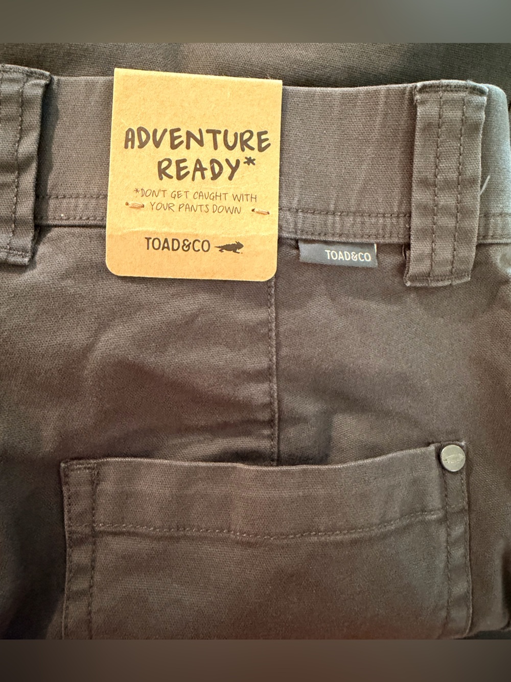 Toad & Co. EarthWorks Ankle Pants. Dark Graphite. Size 4. NWT. 28” inseam. - Picture 5 of 10